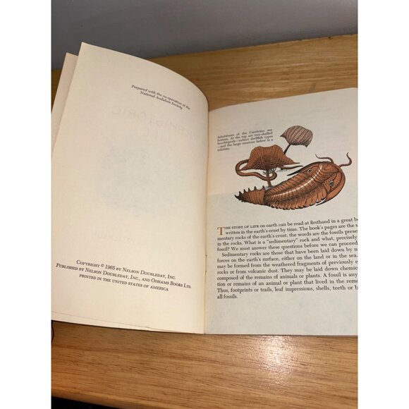 Prehistoric Life Bryan Patterson 1965 National Audubon Society Nature Program - Picture 7 of 10